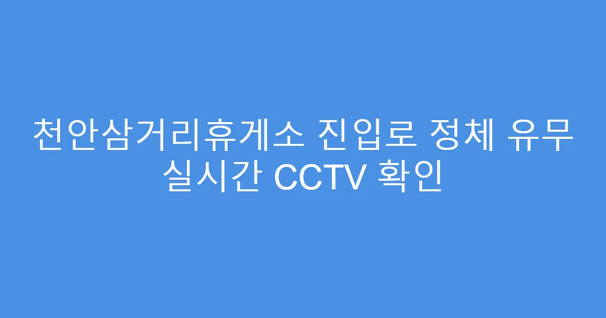 천안삼거리휴게소 진입로 정체 유무 실시간 CCTV 확인