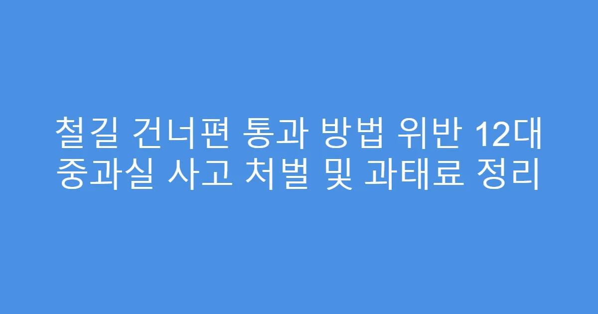 철길 건너편 통과 방법 위반 12대 중과실 사고 처벌 및 과태료 정리