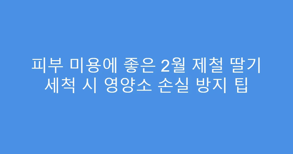 피부 미용에 좋은 2월 제철 딸기 세척 시 영양소 손실 방지 팁
