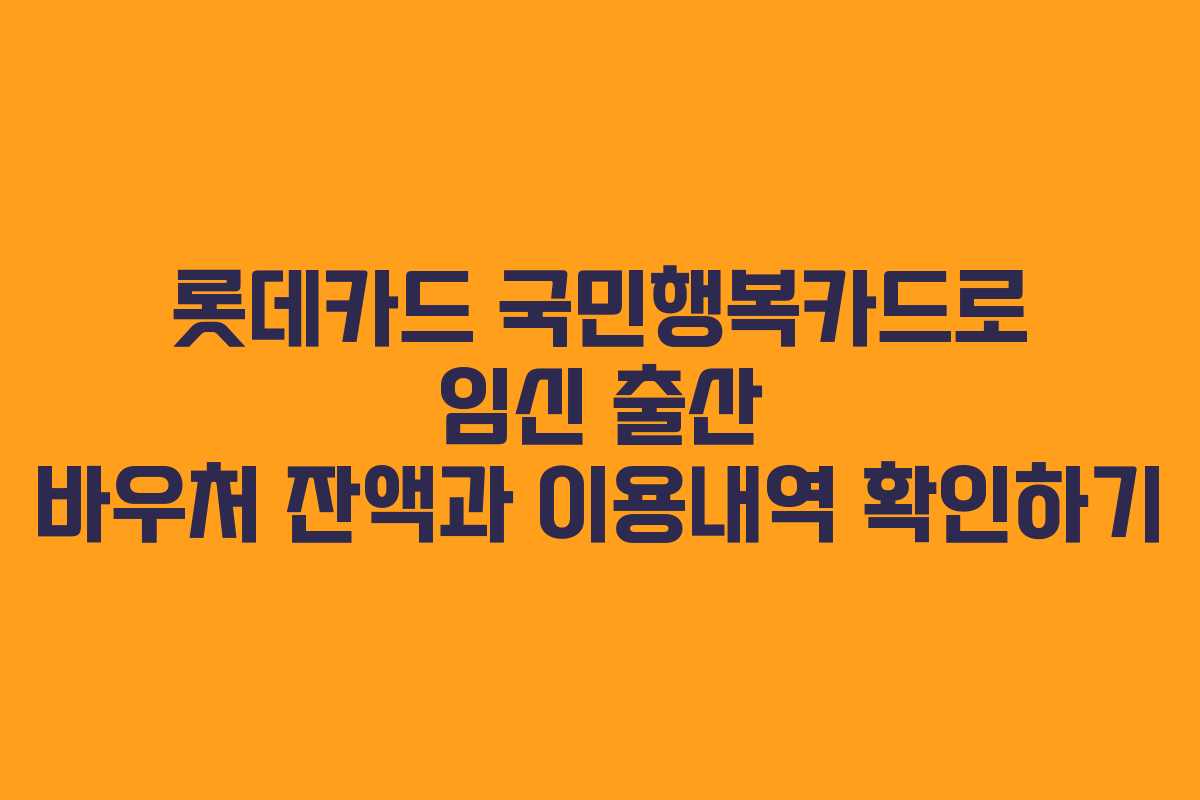 롯데카드 국민행복카드로 임신 출산 바우처 잔액과 이용내역 확인하기