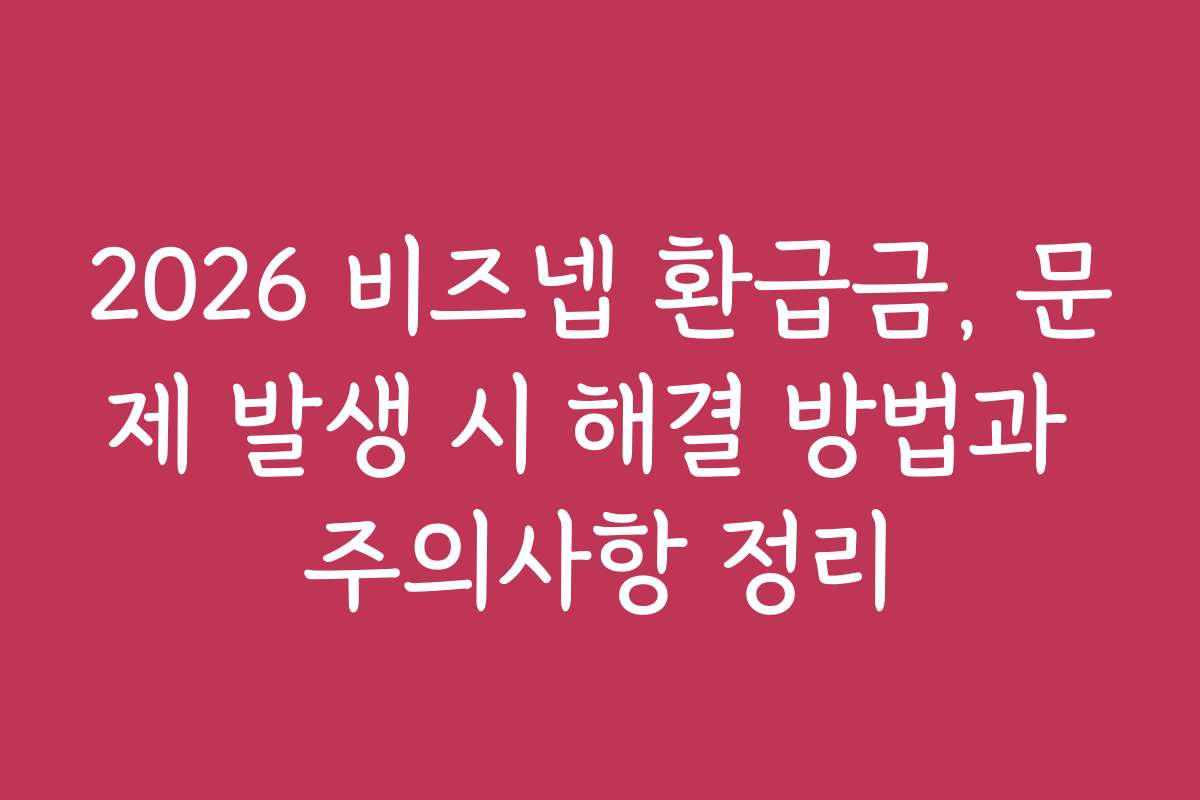 2026 비즈넵 환급금, 문제 발생 시 해결 방법과 주의사항 정리