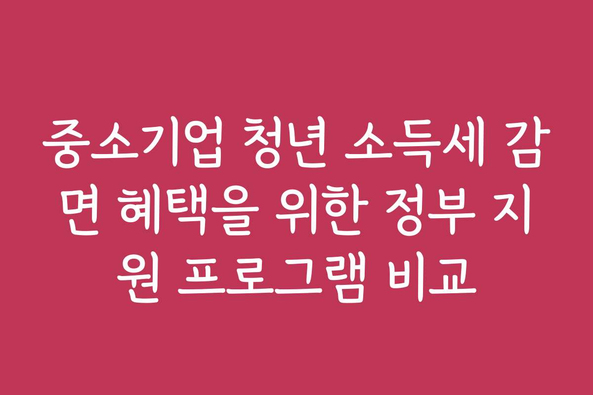 중소기업 청년 소득세 감면 혜택을 위한 정부 지원 프로그램 비교