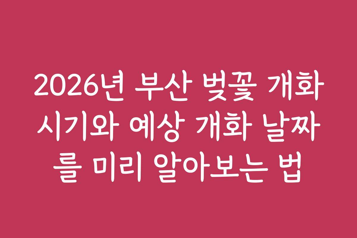 2026년 부산 벚꽃 개화시기와 예상 개화 날짜를 미리 알아보는 법