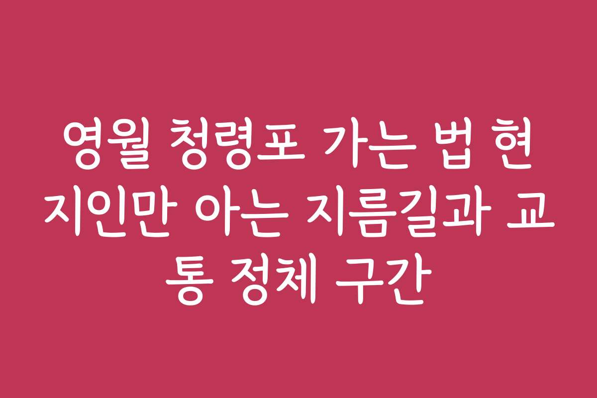영월 청령포 가는 법 현지인만 아는 지름길과 교통 정체 구간