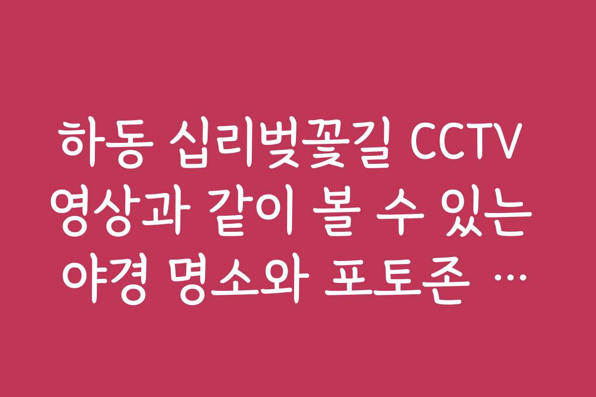 하동 십리벚꽃길 CCTV 영상과 같이 볼 수 있는 야경 명소와 포토존 정보