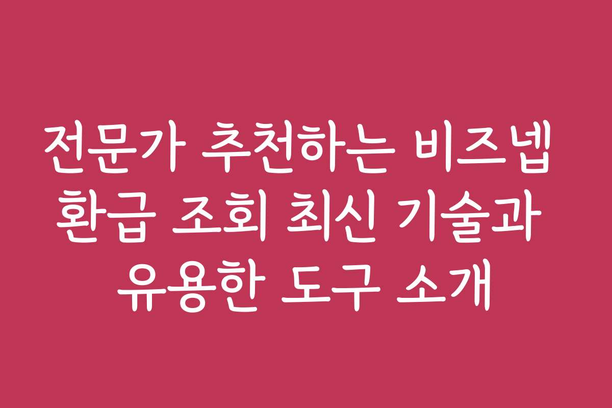 전문가 추천하는 비즈넵 환급 조회 최신 기술과 유용한 도구 소개