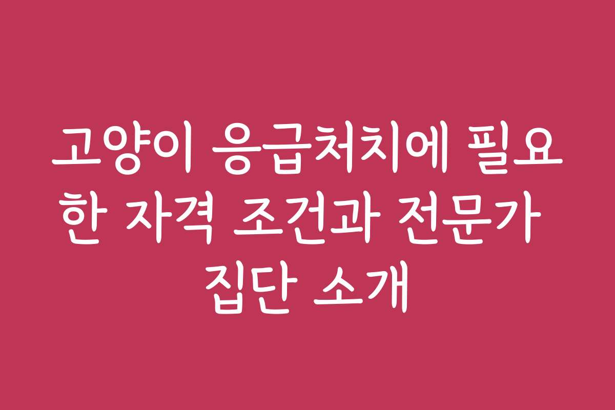 고양이 응급처치에 필요한 자격 조건과 전문가 집단 소개