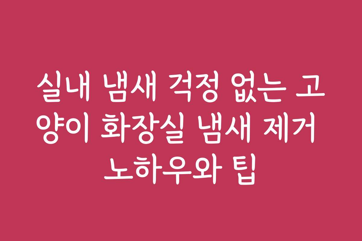 실내 냄새 걱정 없는 고양이 화장실 냄새 제거 노하우와 팁