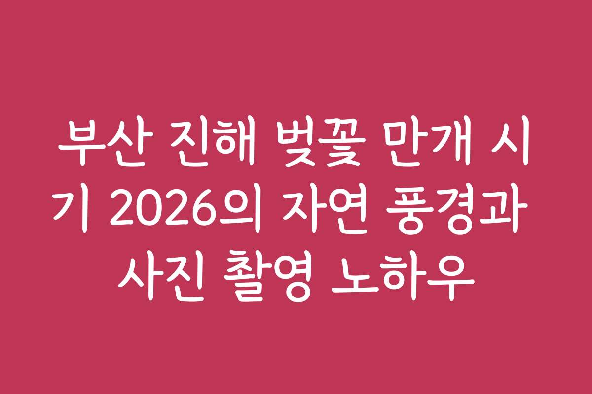 부산 진해 벚꽃 만개 시기 2026의 자연 풍경과 사진 촬영 노하우