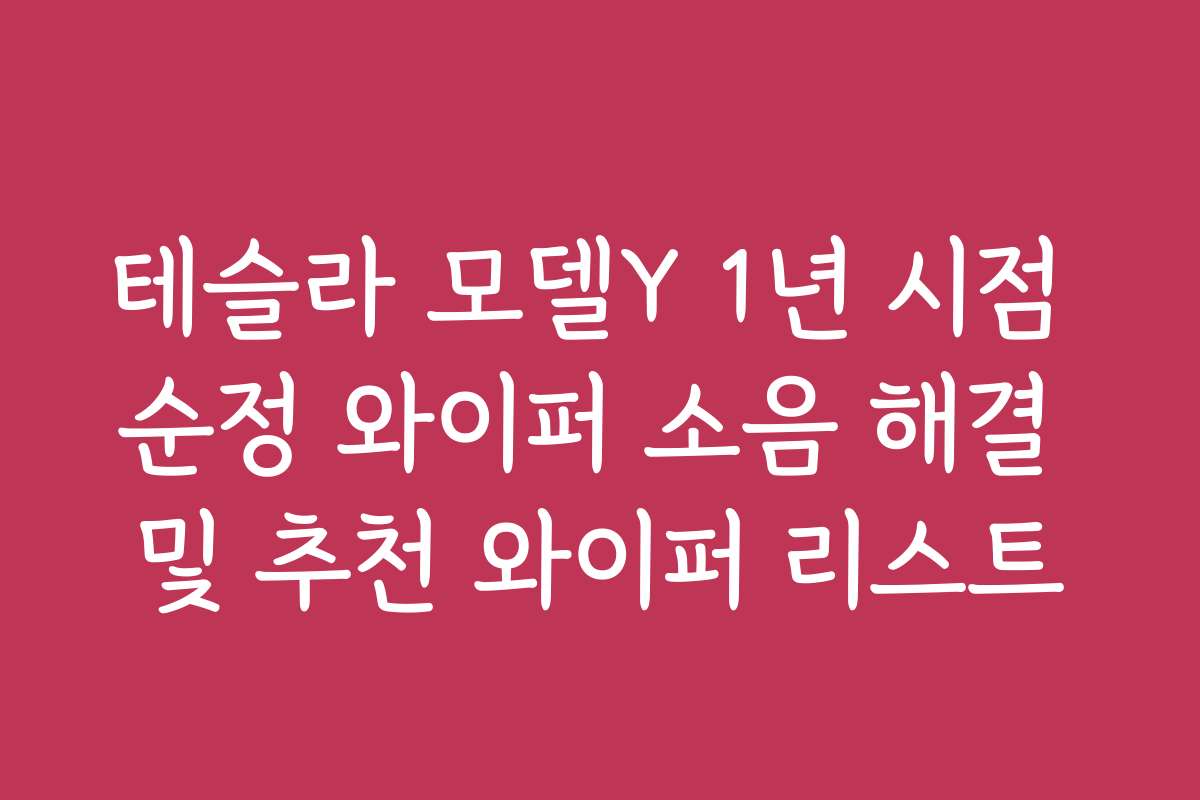 테슬라 모델Y 1년 시점 순정 와이퍼 소음 해결 및 추천 와이퍼 리스트