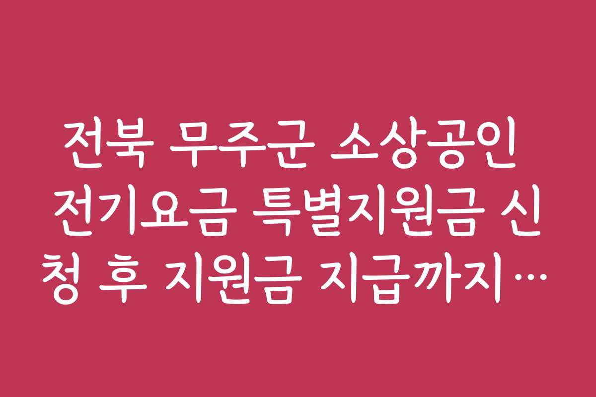 전북 무주군 소상공인 전기요금 특별지원금 신청 후 지원금 지급까지 소요 시간과 절차는?