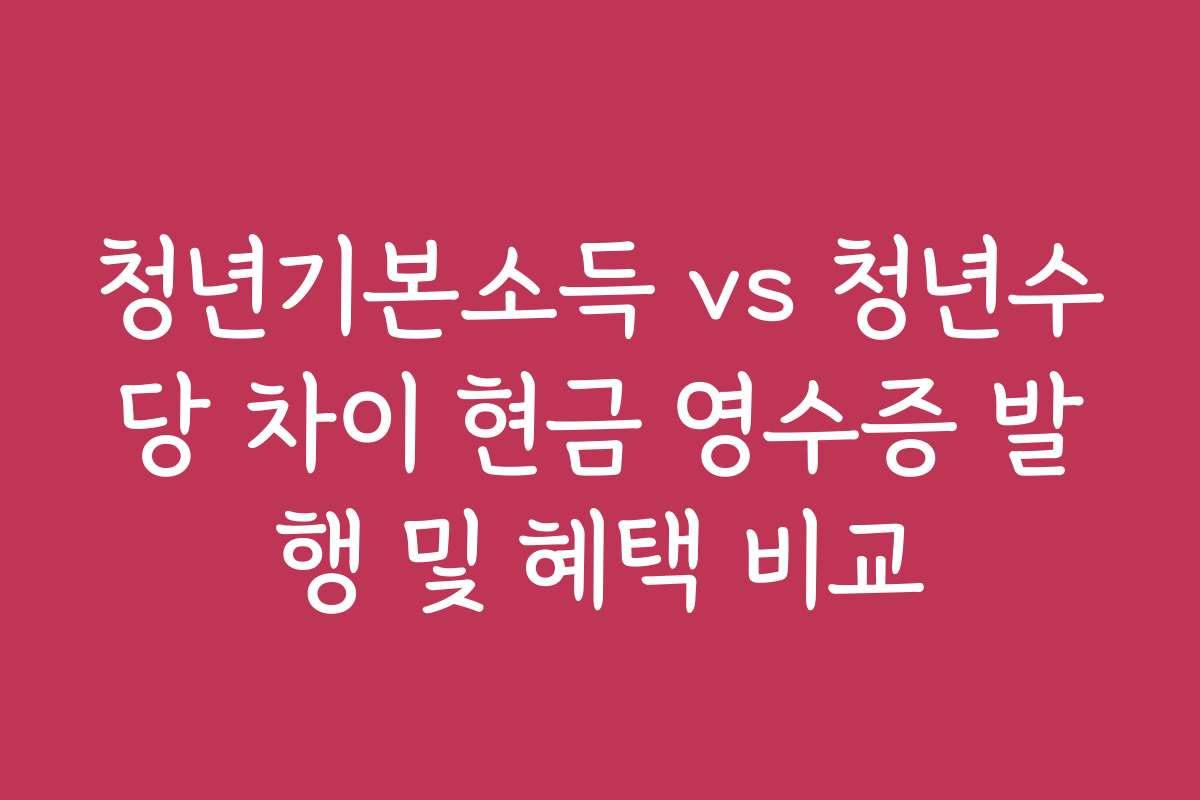 청년기본소득 vs 청년수당 차이 현금 영수증 발행 및 혜택 비교