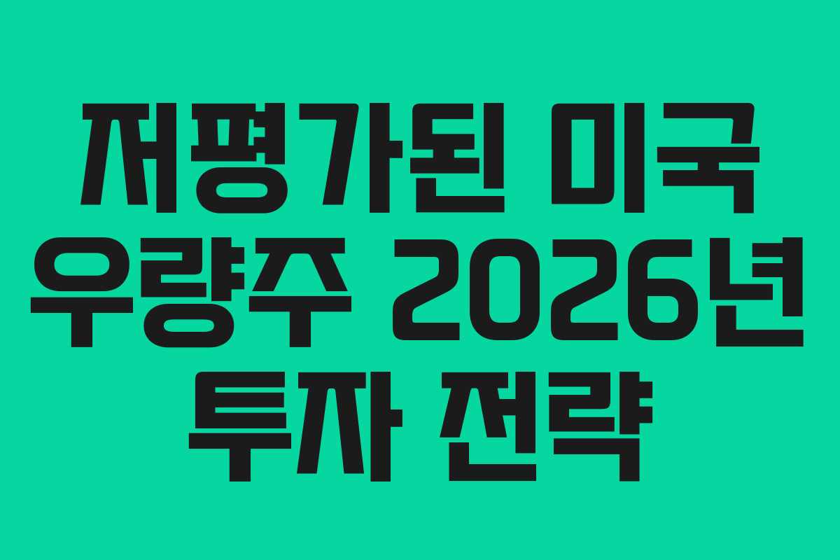 저평가된 미국 우량주 2026년 투자 전략