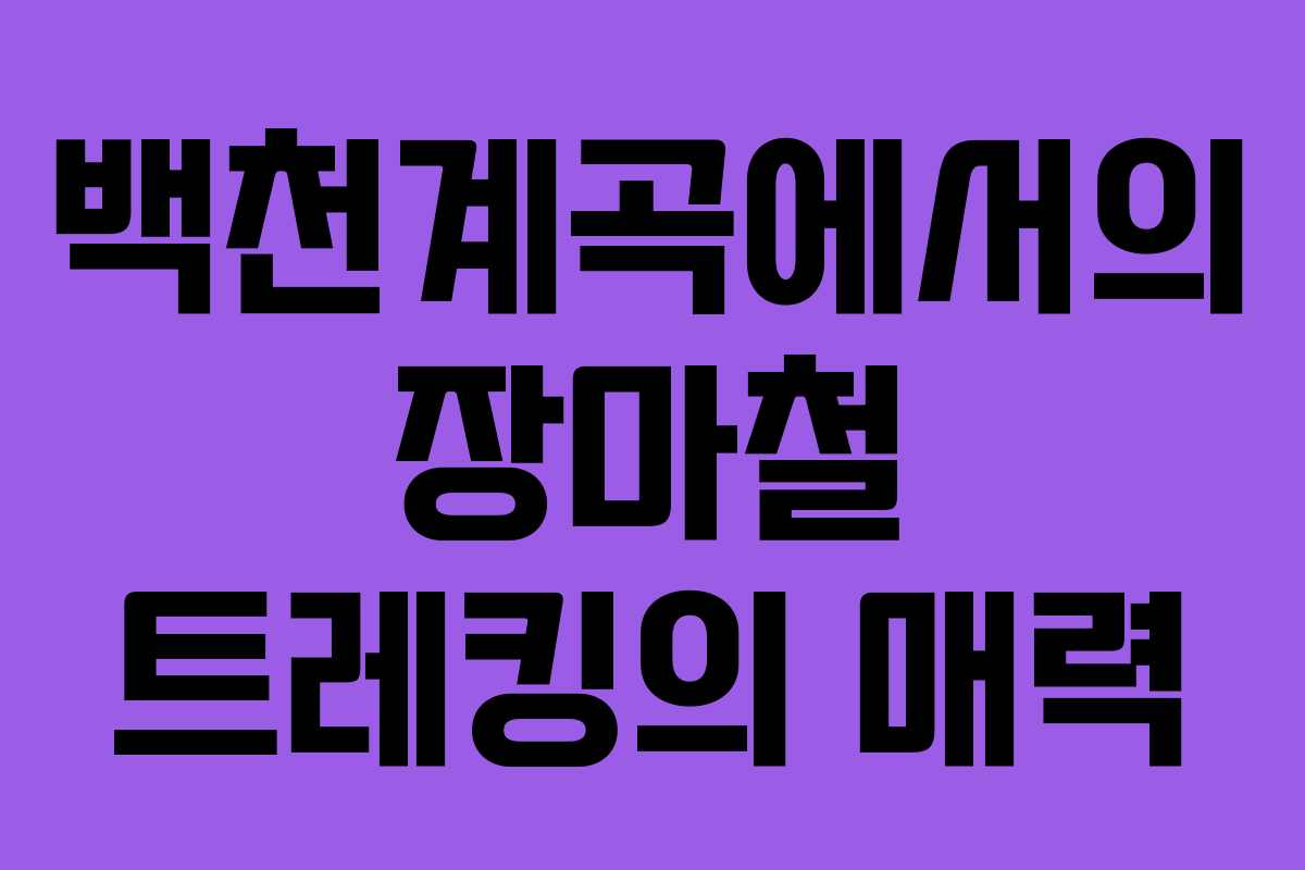 백천계곡에서의 장마철 트레킹의 매력