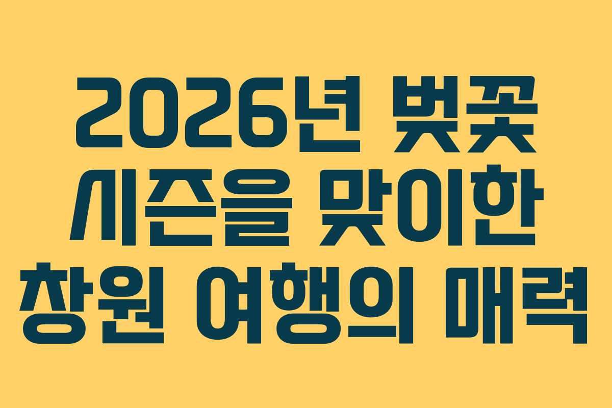 2026년 벚꽃 시즌을 맞이한 창원 여행의 매력