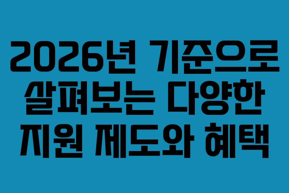2026년 기준으로 살펴보는 다양한 지원 제도와 혜택