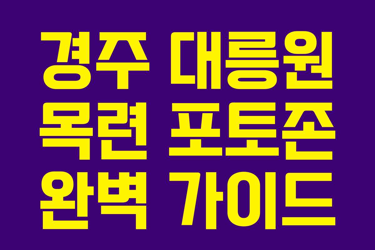 경주 대릉원 목련 포토존 완벽 가이드