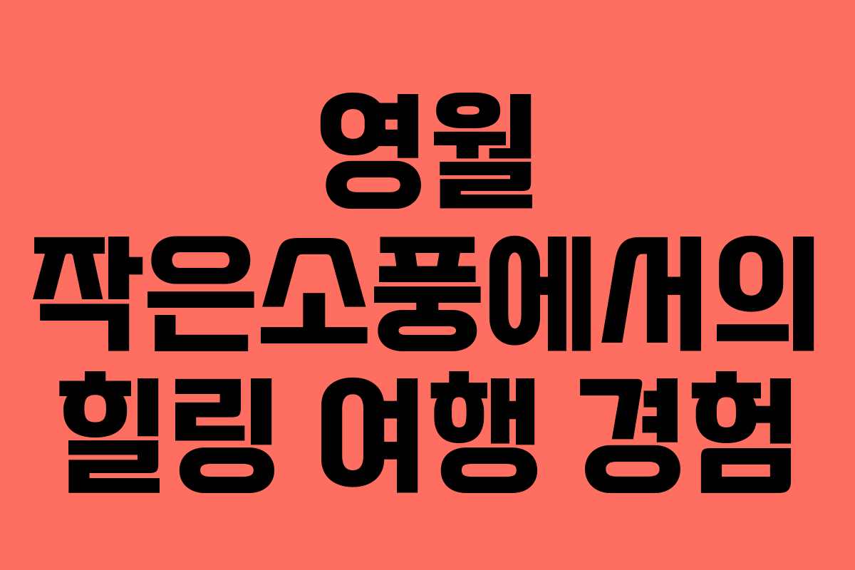 영월 작은소풍에서의 힐링 여행 경험