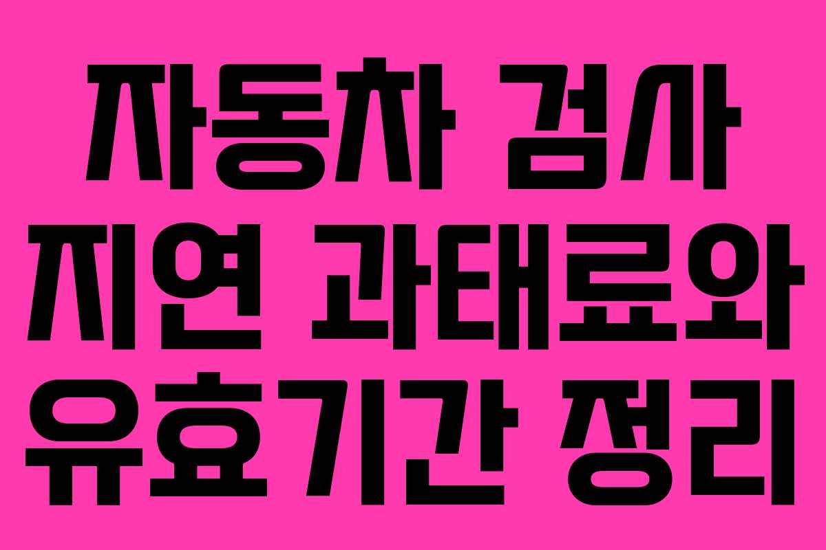 자동차 검사 지연 과태료와 유효기간 정리