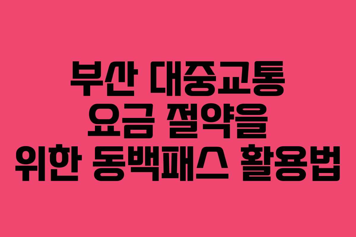부산 대중교통 요금 절약을 위한 동백패스 활용법