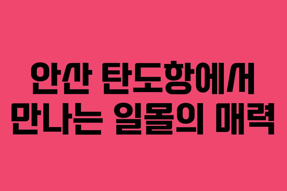 안산 탄도항에서 만나는 일몰의 매력