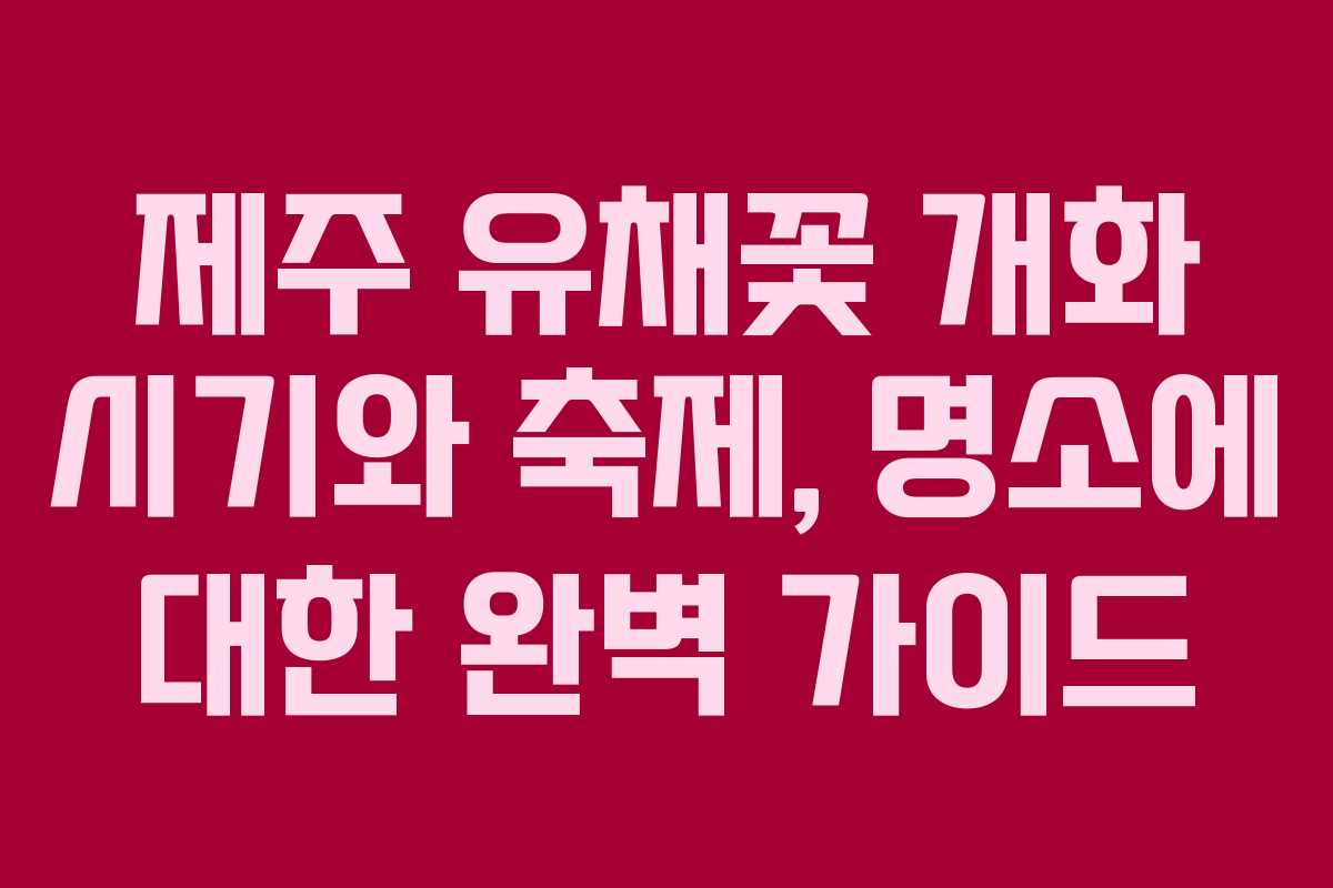 제주 유채꽃 개화 시기와 축제, 명소에 대한 완벽 가이드