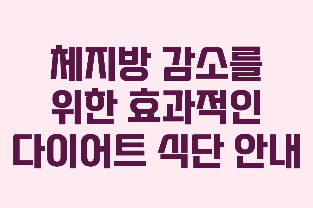 체지방 감소를 위한 효과적인 다이어트 식단 안내