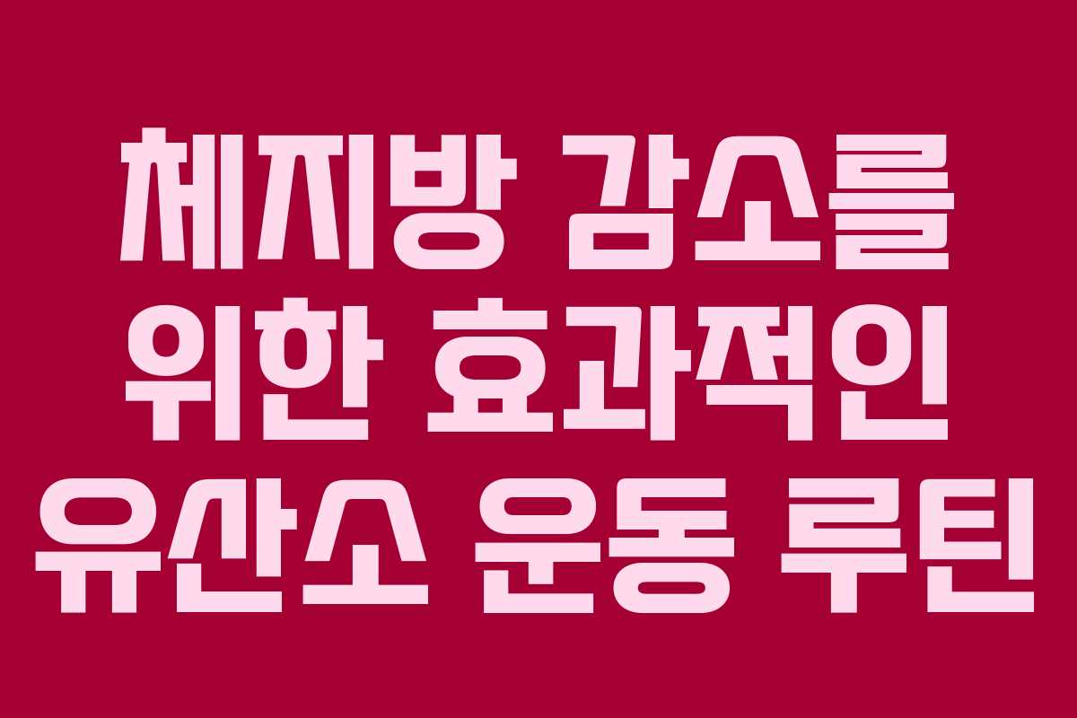 체지방 감소를 위한 효과적인 유산소 운동 루틴