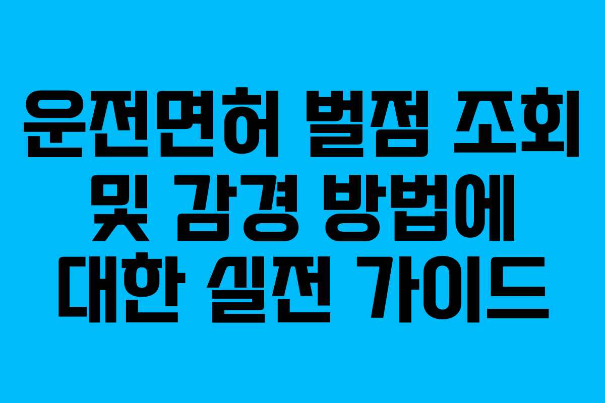운전면허 벌점 조회 및 감경 방법에 대한 실전 가이드
