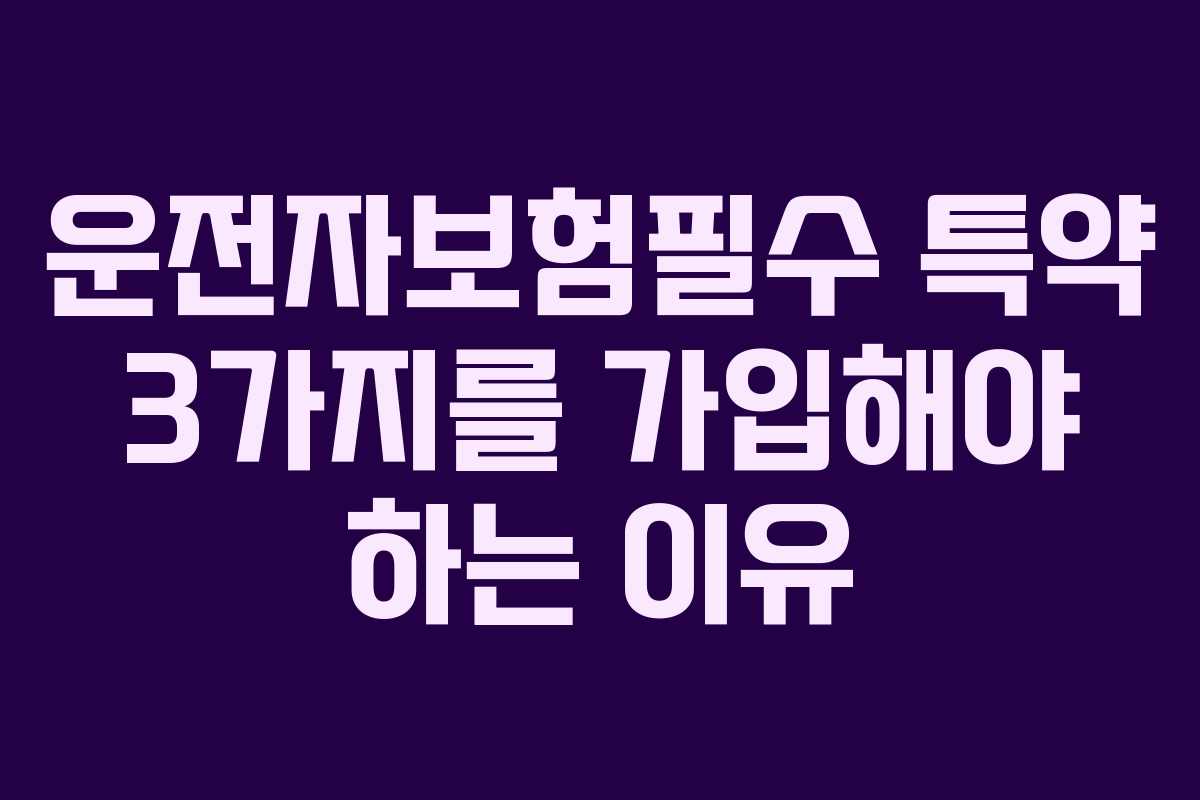 운전자보험필수 특약 3가지를 가입해야 하는 이유