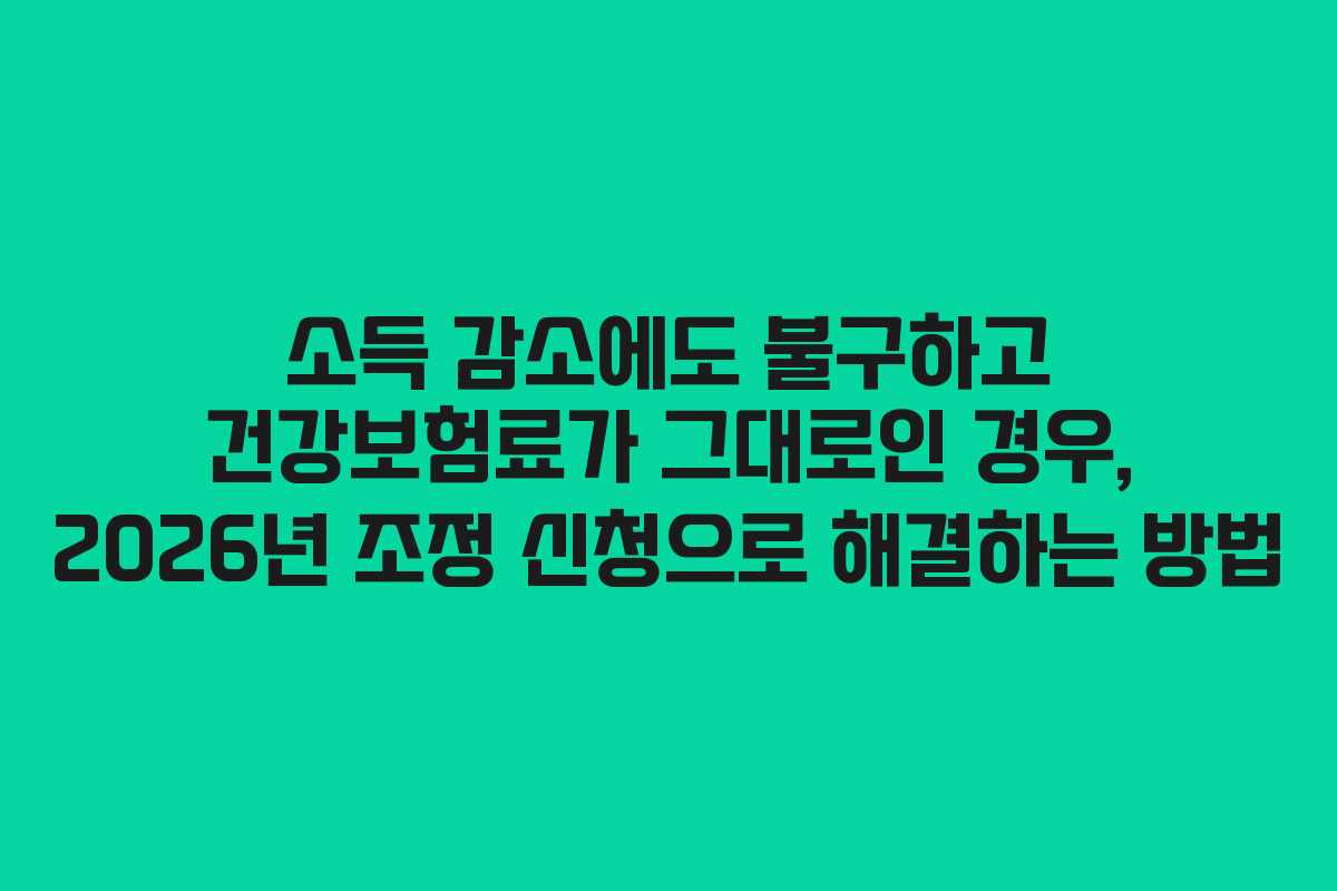 소득 감소에도 불구하고 건강보험료가 그대로인 경우, 2026년 조정 신청으로 해결하는 방법