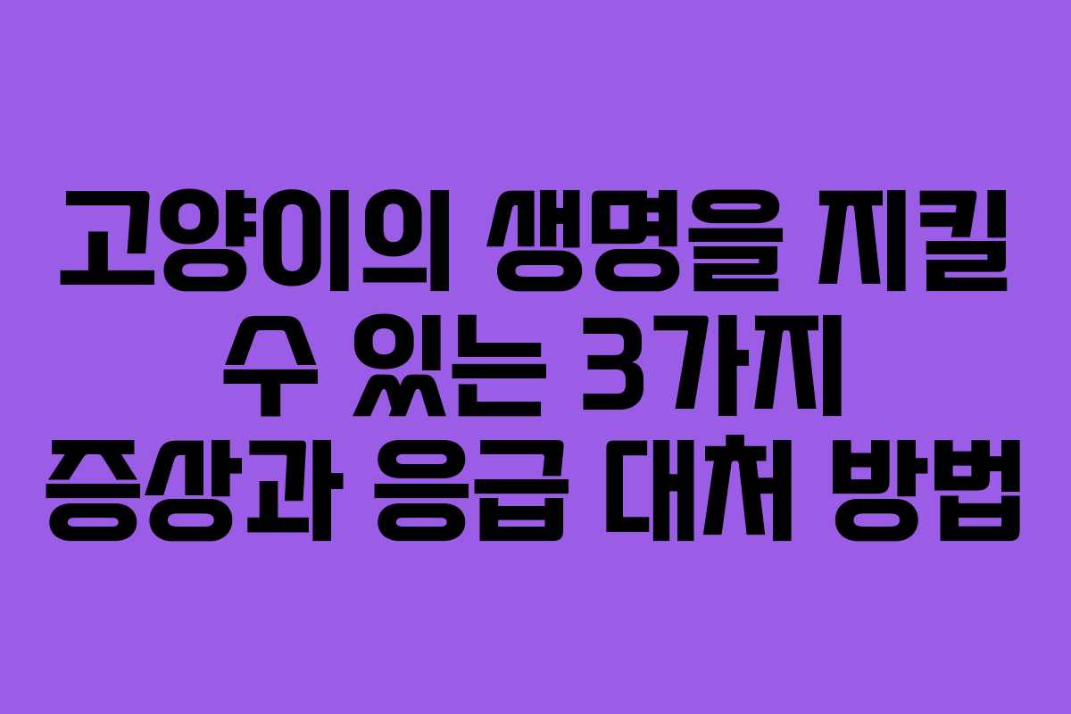 고양이의 생명을 지킬 수 있는 3가지 증상과 응급 대처 방법