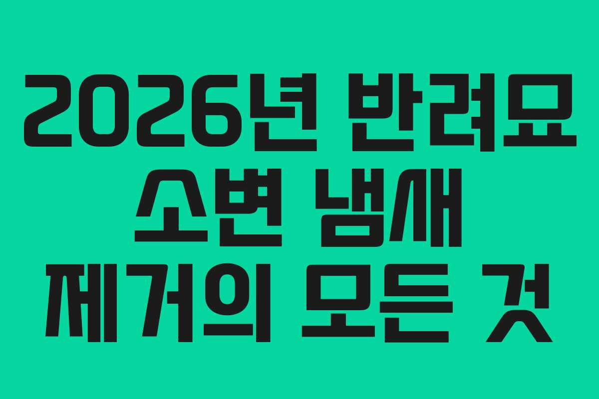2026년 반려묘 소변 냄새 제거의 모든 것