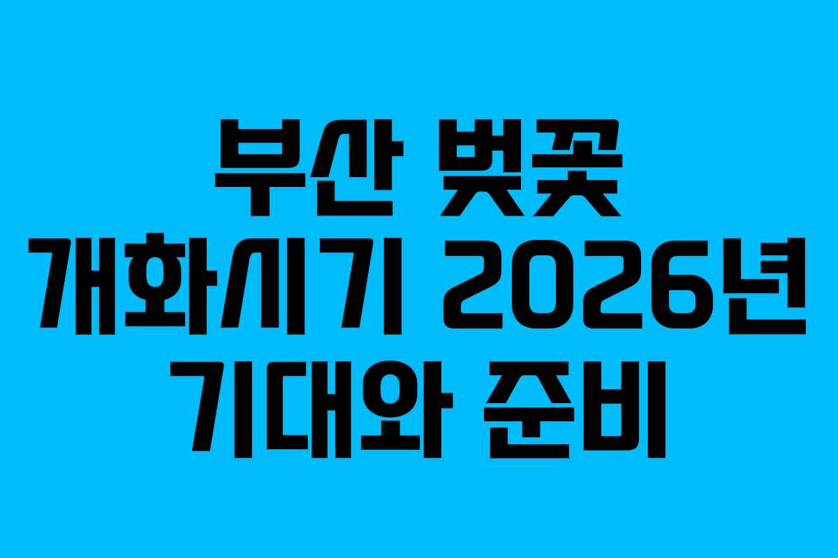 부산 벚꽃 개화시기 2026년 기대와 준비
