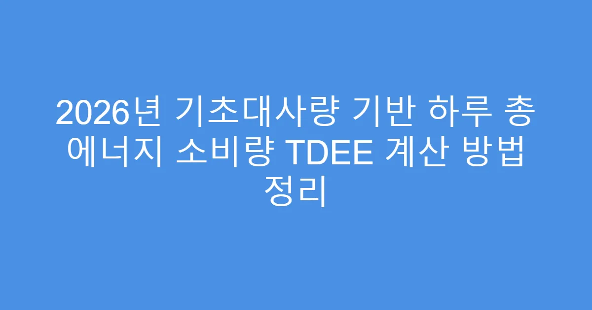 2026년 기초대사량 기반 하루 총 에너지 소비량 TDEE 계산 방법 정리