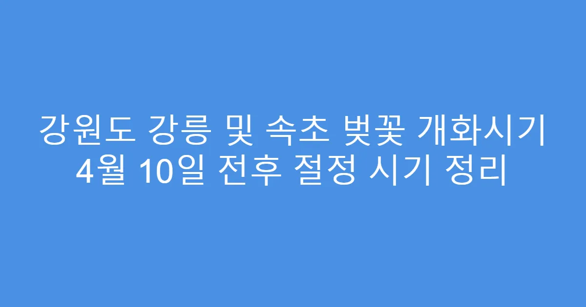 강원도 강릉 및 속초 벚꽃 개화시기 4월 10일 전후 절정 시기 정리