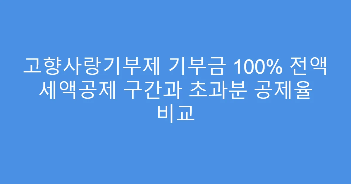 고향사랑기부제 기부금 100% 전액 세액공제 구간과 초과분 공제율 비교