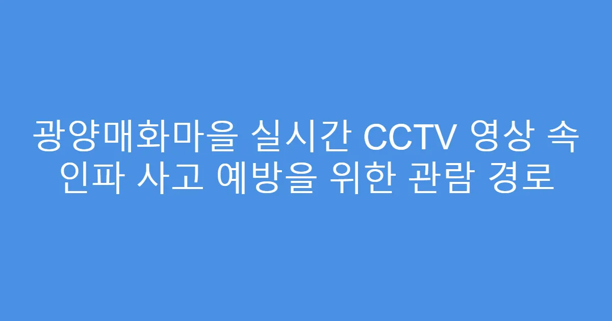 광양매화마을 실시간 CCTV 영상 속 인파 사고 예방을 위한 관람 경로