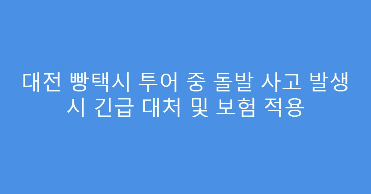 대전 빵택시 투어 중 돌발 사고 발생 시 긴급 대처 및 보험 적용