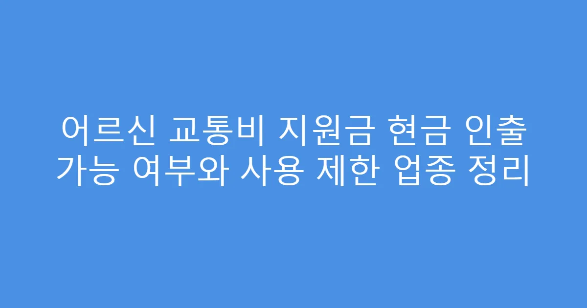 어르신 교통비 지원금 현금 인출 가능 여부와 사용 제한 업종 정리