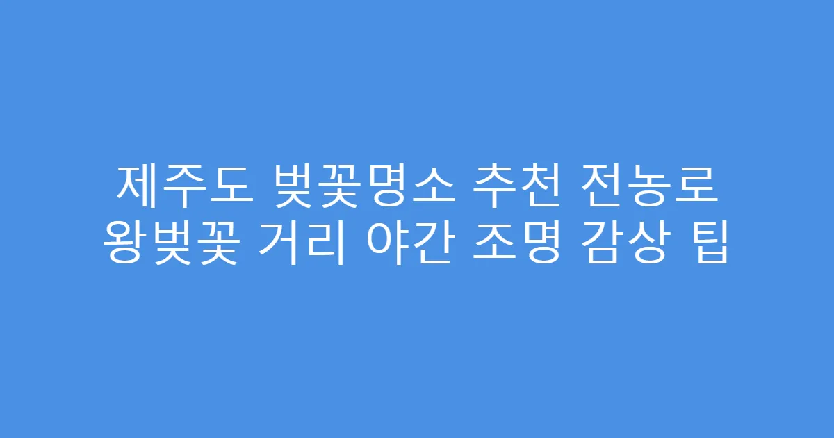 제주도 벚꽃명소 추천 전농로 왕벚꽃 거리 야간 조명 감상 팁