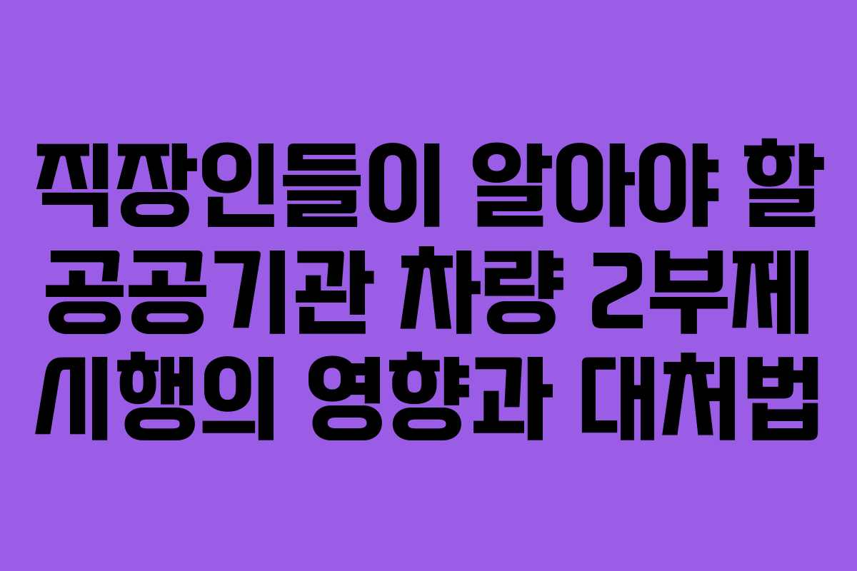직장인들이 알아야 할 공공기관 차량 2부제 시행의 영향과 대처법