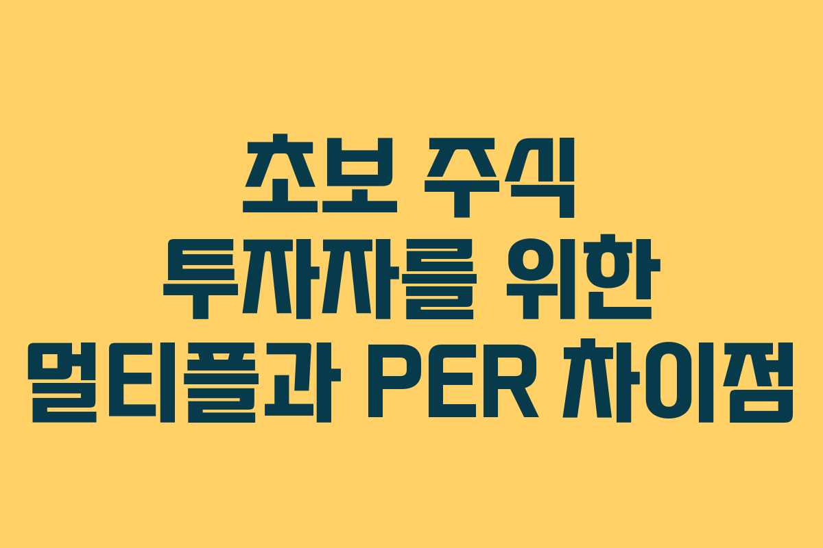 초보 주식 투자자를 위한 멀티플과 PER 차이점