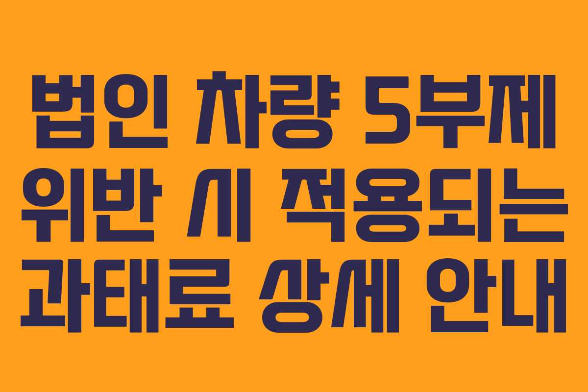 법인 차량 5부제 위반 시 적용되는 과태료 상세 안내