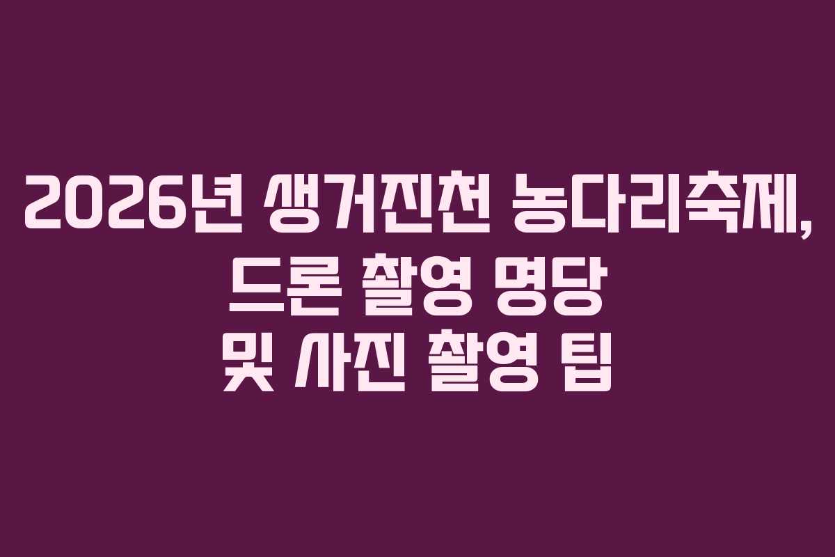 2026년-생거진천-농다리축제,-드론-촬영-명당-및-사진-촬영-팁