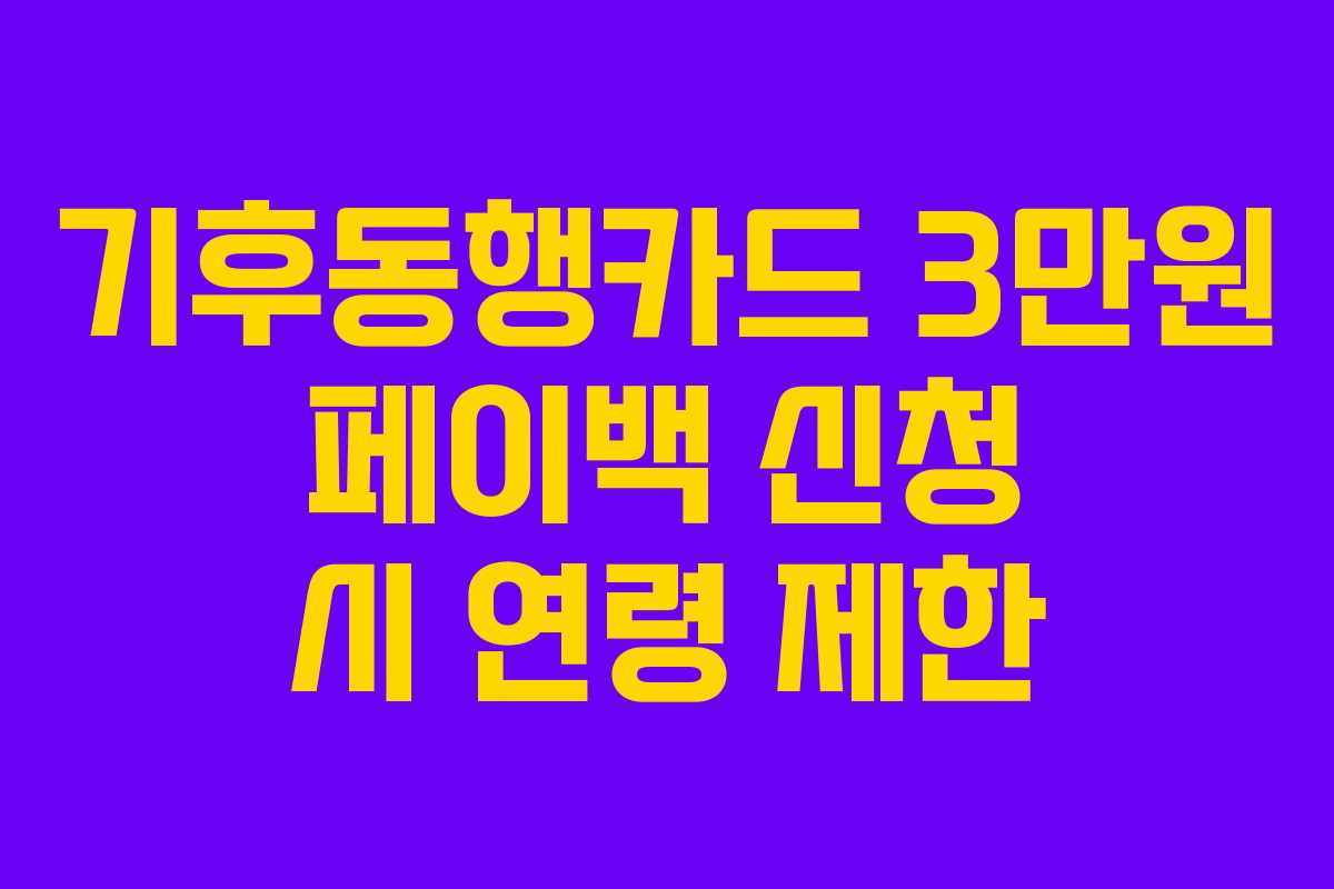 기후동행카드 3만원 페이백 신청 시 연령 제한