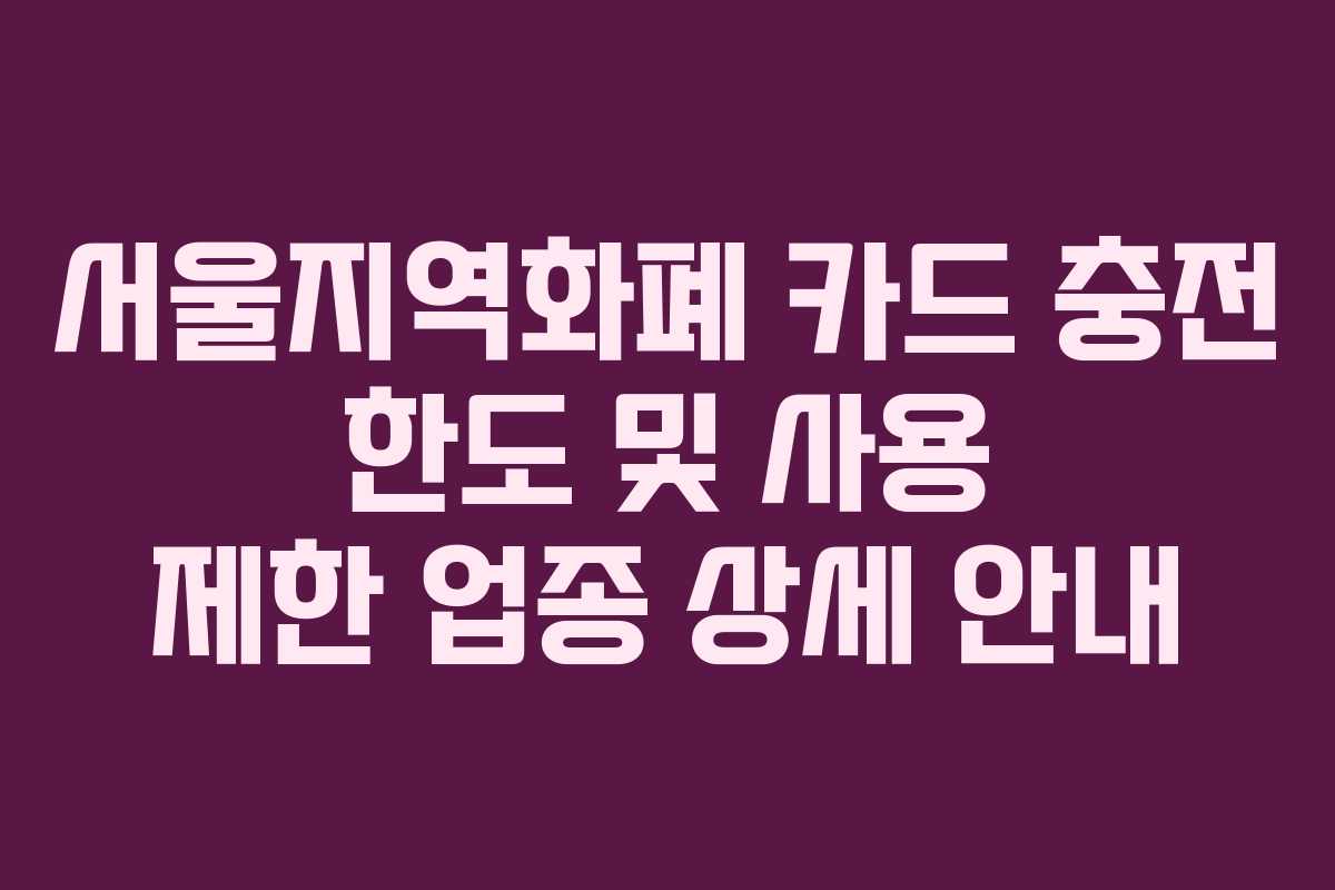 서울지역화폐 카드 충전 한도 및 사용 제한 업종 상세 안내