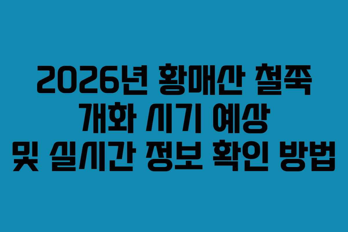 2026년 황매산 철쭉 개화 시기 예상 및 실시간 정보 확인 방법