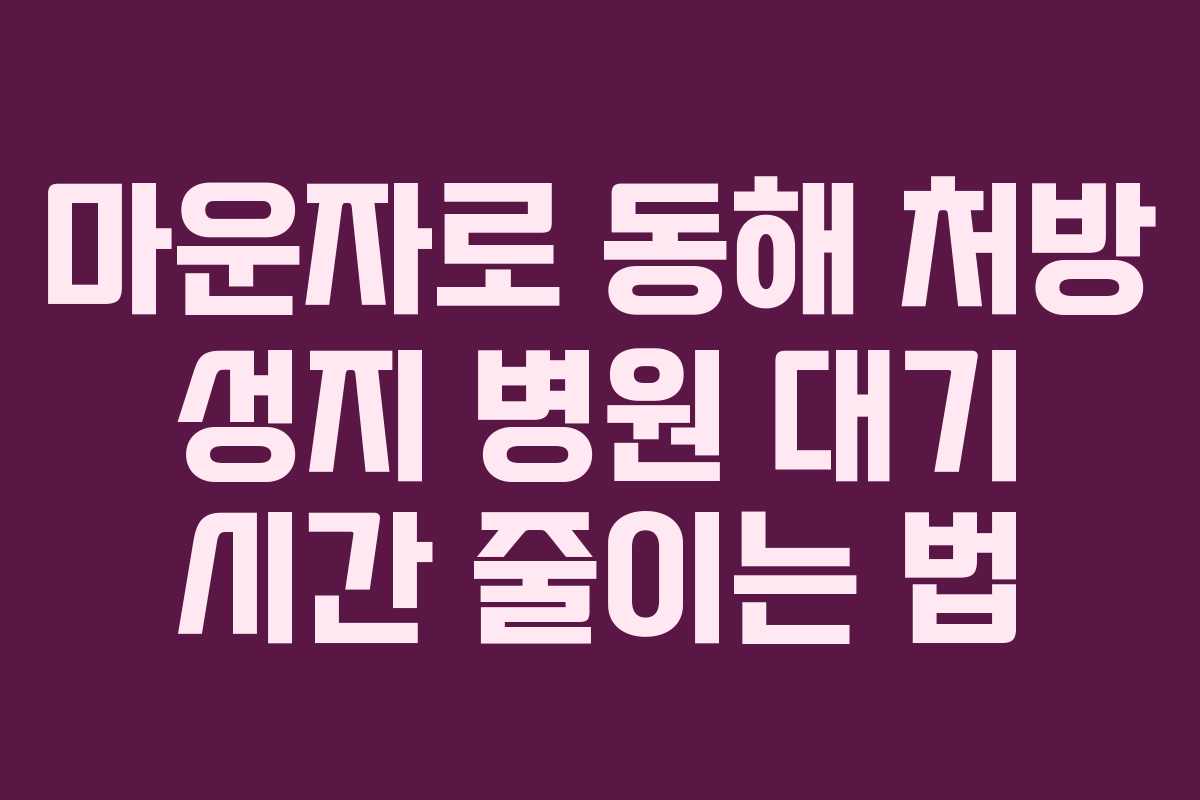 마운자로-동해-처방-성지-병원-대기-시간-줄이는-법