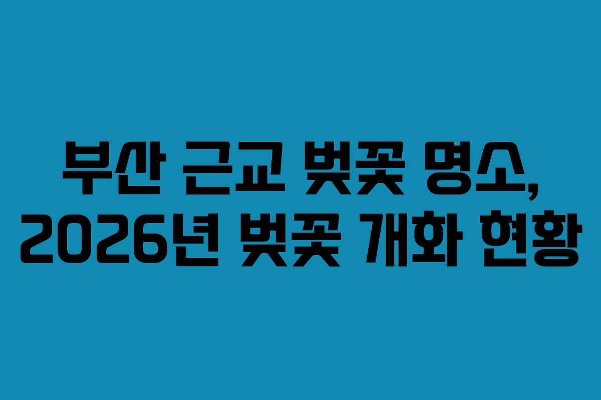 부산 근교 벚꽃 명소, 2026년 벚꽃 개화 현황